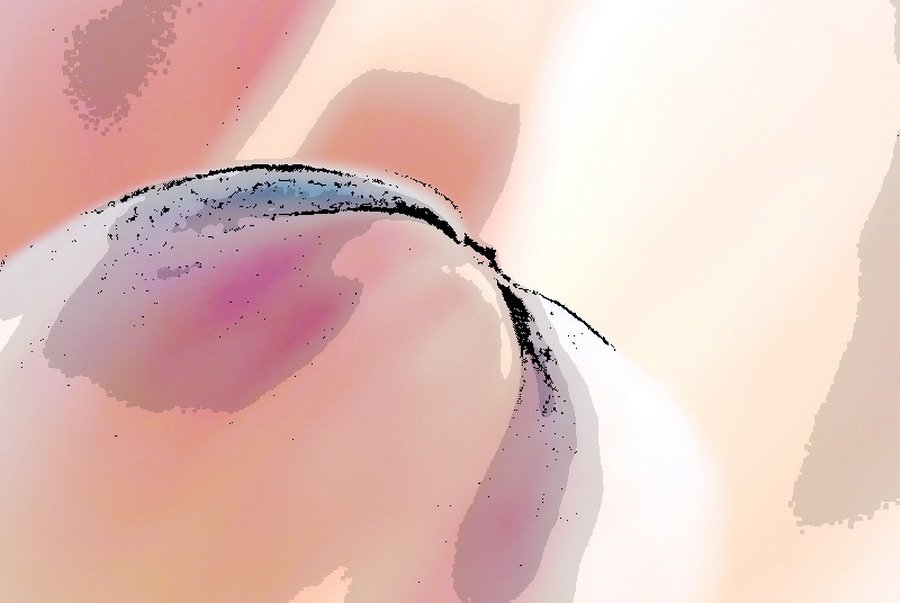 EXPERIMENTE